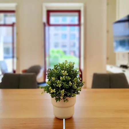 Comfortable Flat, Cozy Balcony Close To Aliados Av Appartement Oporto